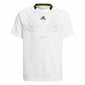 Marškinėliai su trumpomis rankovėmis Adidas Predator Aeroready Balta S6433198 цена и информация | Marškinėliai berniukams | pigu.lt
