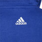 Džemperis berniukams Adidas Essentials Logo S6433278 kaina ir informacija | Megztiniai, bluzonai, švarkai berniukams | pigu.lt