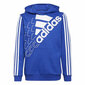 Džemperis berniukams Adidas Essentials Logo S6433278 kaina ir informacija | Megztiniai, bluzonai, švarkai berniukams | pigu.lt