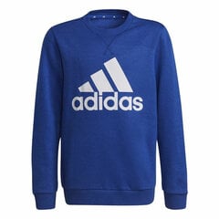 Megztinis berniukams Adidas Essentials Big Logo S6434065 kaina ir informacija | Megztiniai, bluzonai, švarkai berniukams | pigu.lt