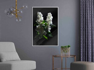 Plakatas White Lilac, Baltas rėmelis, 40x60 kaina ir informacija | Reprodukcijos, paveikslai | pigu.lt
