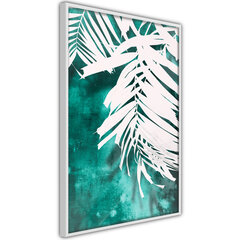 Plakatas White Palm on Teal Background, Baltas rėmelis, 40x60 kaina ir informacija | Reprodukcijos, paveikslai | pigu.lt