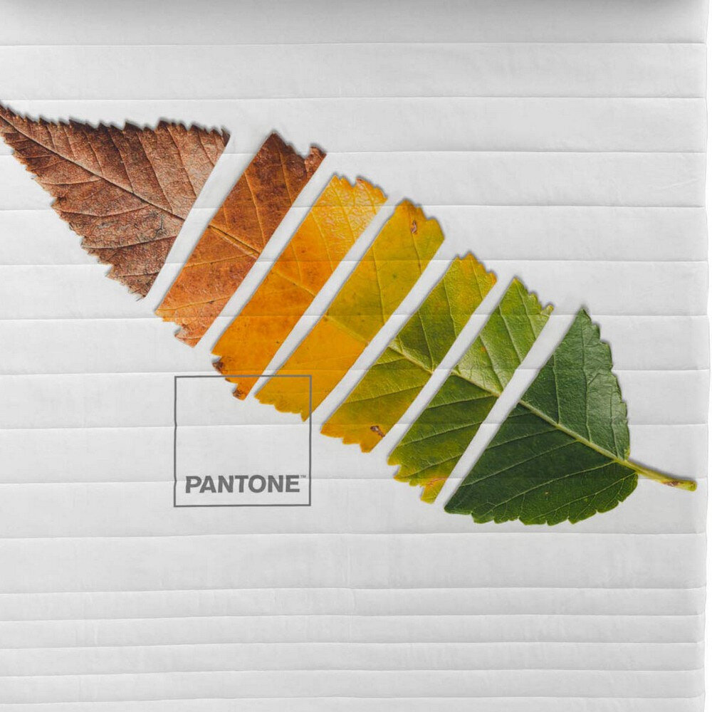 Pantone antklodė Leaf, 180 x 260 cm цена и информация | Antklodės | pigu.lt