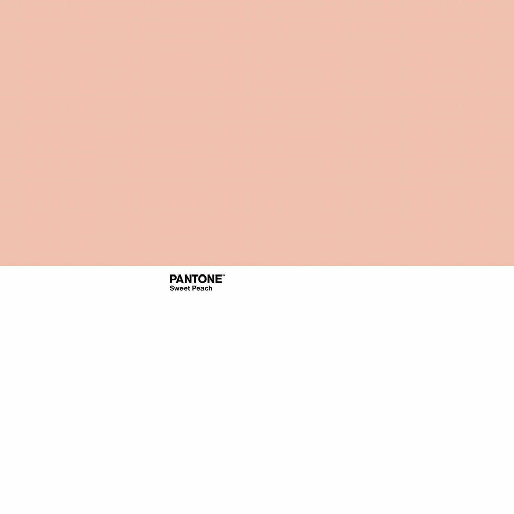 Patalynės komplektai Pantone Sweet Peach kaina ir informacija | Patalynės komplektai | pigu.lt