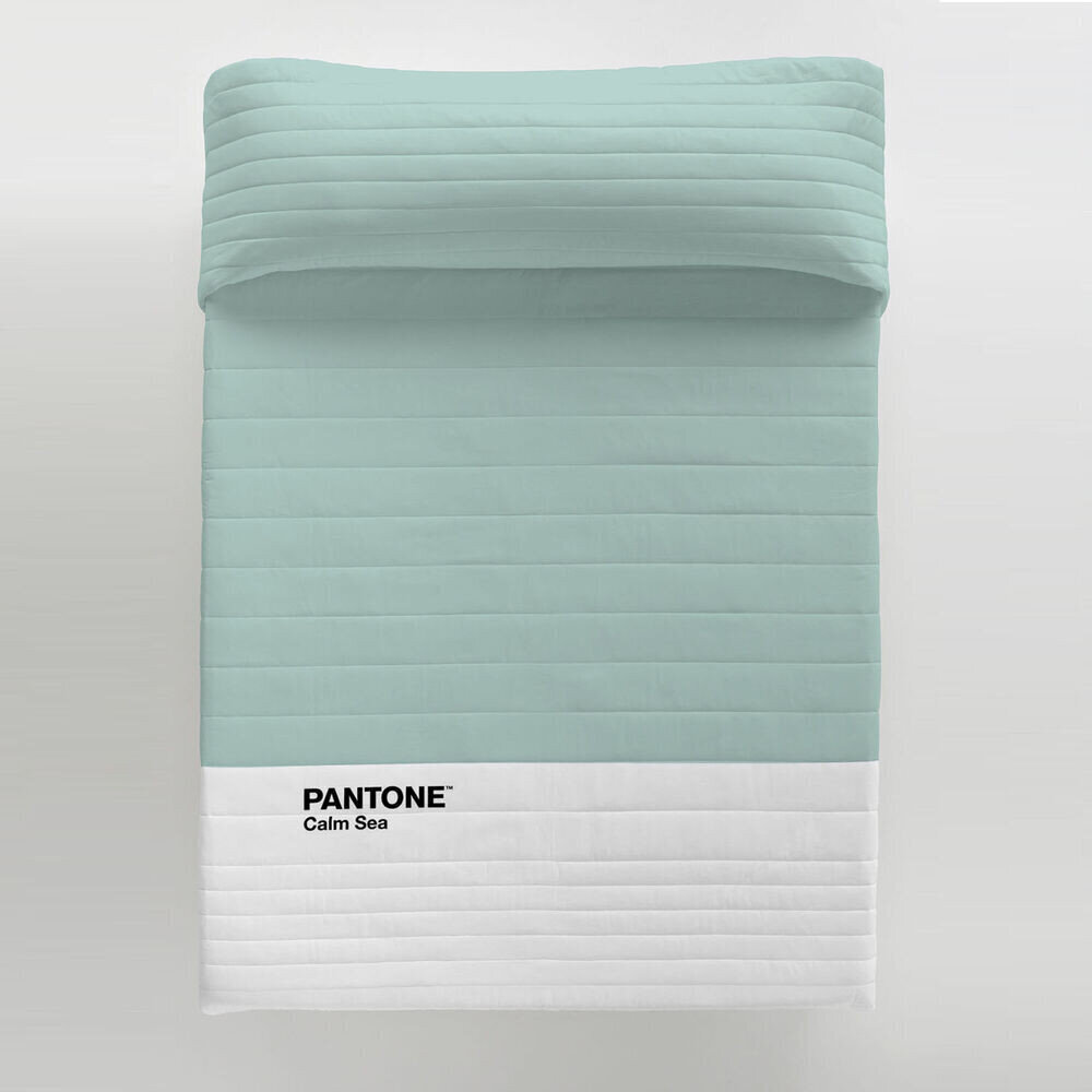 Pantone antklodė Calm Sea, 240 x 260 cm kaina ir informacija | Antklodės | pigu.lt