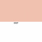 Pantone antklodė Sweet Peach, 250 x 260 cm kaina ir informacija | Antklodės | pigu.lt
