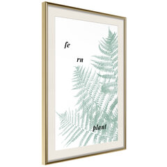 Plakatas Pale Green Fern kaina ir informacija | Reprodukcijos, paveikslai | pigu.lt