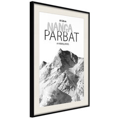 Plakatas Peaks of the World: Nanga Parbat, juodas rėmelis su pasportu цена и информация | Репродукции, картины | pigu.lt