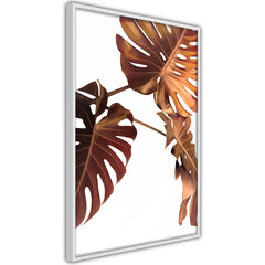 Plakatas Copper Monstera kaina ir informacija | Reprodukcijos, paveikslai | pigu.lt