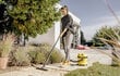 Karcher WD 2 PLUS V-12/4/18 kaina ir informacija | Dulkių siurbliai | pigu.lt