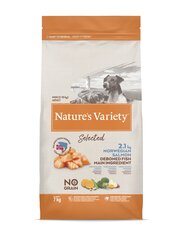 Сухой корм с норвежским лососем для взрослых собак Nature's Variety Dog Selected Mini Adult Norwegian Salmon, 7 кг цена и информация | Nature's Variety Товары для животных | pigu.lt