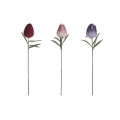 Dekoratyvinė gėlė DKD Home Decor Rožinė EVA etilovynilacetatas Kaštoninė Alyvinė 10 x 10 x 78 cm, 3 vnt. kaina ir informacija | Dirbtinės gėlės | pigu.lt