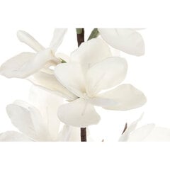 Dekoratyvinė gėlė DKD Home Decor Balta EVA (etilovynilacetatas) (15 x 8 x 125 cm) kaina ir informacija | Dirbtinės gėlės | pigu.lt