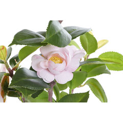 Dekoratyvinis augalas DKD Home Decor Balta Žalia Rožinė PVC EVA 23 x 18 x 38 cm kaina ir informacija | Dirbtinės gėlės | pigu.lt
