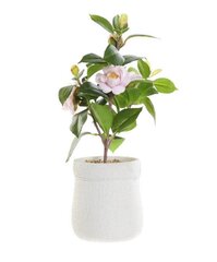 Dekoratyvinis augalas DKD Home Decor Balta Žalia Rožinė PVC EVA 23 x 18 x 38 cm kaina ir informacija | Dirbtinės gėlės | pigu.lt