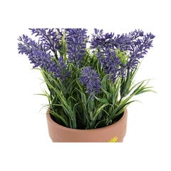 Dekoratyvinis augalas DKD Home Decor Žalia PVC Degtas molis Alyvinė kaina ir informacija | Dirbtinės gėlės | pigu.lt