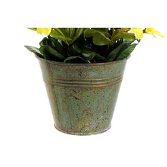 Dekoratyvinis augalas DKD Home Decor Geltona Rožinė Metalinis Polietilenas Fuksija, 3 vnt. kaina ir informacija | Dirbtinės gėlės | pigu.lt