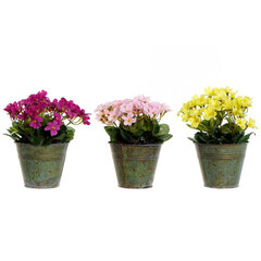 Декоративное растение DKD Home Decor, 3 шт. цена и информация | Искусственные цветы | pigu.lt