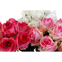 Puokštės DKD Home Decor Balta Rožinė Plastmasinis Audinys Fuksija, 3 vnt. kaina ir informacija | Dirbtinės gėlės | pigu.lt