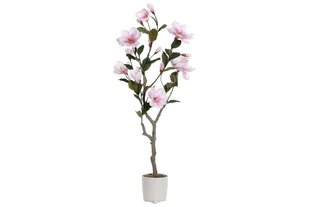 Dekoratyvinis augalas DKD Home Decor Magnolia Polietilenas Dolomite 40 x 40 x 125 cm kaina ir informacija | Dirbtinės gėlės | pigu.lt