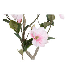 Dekoratyvinis augalas DKD Home Decor Magnolia Polietilenas Dolomite 40 x 40 x 125 cm kaina ir informacija | Dirbtinės gėlės | pigu.lt