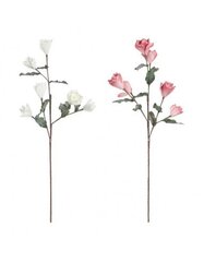 Puokštės DKD Home Decor Balta Rožinė EVA etilovynilacetatas, 2 vnt. kaina ir informacija | Dirbtinės gėlės | pigu.lt