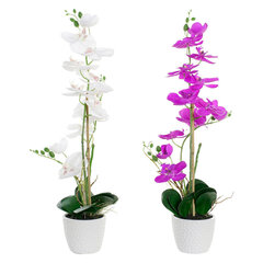Dekoratyvinis augalas DKD Home Decor Balta Žalia Audinys Porcelianas Fuksija 18 x 18 x 60 cm, 2 vnt. kaina ir informacija | Dirbtinės gėlės | pigu.lt