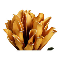 Dekoratyvinės gėlės DKD Home Decor Geltona Oranžinė EVA (etilovynilacetatas) (2 pcs) kaina ir informacija | Dirbtinės gėlės | pigu.lt