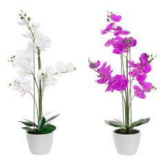Dekoratyvinis augalas DKD Home Decor Balta Žalia Audinys Porcelianas Alyvinė, 2 vnt. kaina ir informacija | Dirbtinės gėlės | pigu.lt