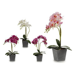 Dekoratyvinės gėlės Orchidėja Plastmasinis Stiklainis Pilka 18 x 53 x 28 cm kaina ir informacija | Dirbtinės gėlės | pigu.lt