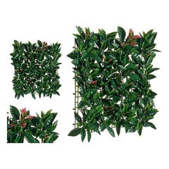 Декоративное растение Зеленый Пластик 50 x 3 x 50 см цена и информация | Искусственные цветы | pigu.lt