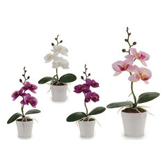 Декоративная орхидея (7 x 26 x 14 см) цена и информация | Принадлежности для флористики | pigu.lt