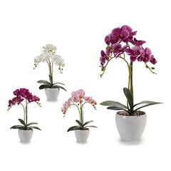 Декоративная орхидея (14 x 47 x 32 см) цена и информация | Вазоны | pigu.lt