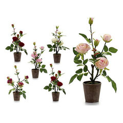 Dekoratyvinis augalas Rožinė Plastmasinis Audinys 20 x 49 x 26 cm kaina ir informacija | Dirbtinės gėlės | pigu.lt