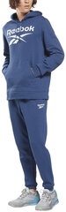 Reebok Cпортивные Kостюмы Vector Tracksuit Blue HG7955 HG7955/L цена и информация | Мужская спортивная одежда | pigu.lt