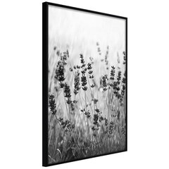 Plakatas Shadow of Meadow, juodas rėmelis цена и информация | Репродукции, картины | pigu.lt