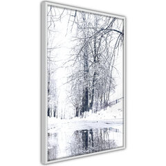 Plakatas Snowy Park, Baltas rėmelis, 40x60 kaina ir informacija | Reprodukcijos, paveikslai | pigu.lt