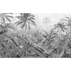 Fototapetai Komar Amazonia, juodai balti, 400x250cm kaina ir informacija | Fototapetai | pigu.lt