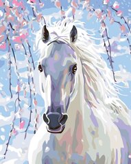 Kартины по номерам "Волшебная лошадь 1" 40x50 G цена и информация | Живопись по номерам | pigu.lt