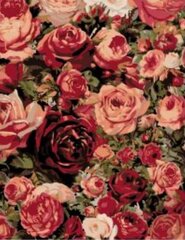 Tapyba pagal skaičius Rožės rožės 40x50 G kaina ir informacija | Tapyba pagal skaičius | pigu.lt