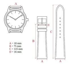 Ремешок Eichmüller 18mm, коричневый цена и информация | Мужские часы | pigu.lt