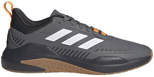 Мужские кроссовки Adidas Trainer V Grey GX0731 GX0731/8.5 цена и информация | Кроссовки мужские | pigu.lt