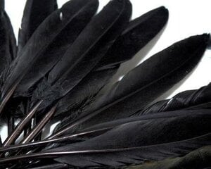 Plunksnos anties juodos 9-14 cm, 20 vnt. цена и информация | Принадлежности для изготовления украшений, бисероплетения | pigu.lt