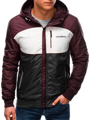 куртка весна-осень C447 - темно-красная цена и информация | Мужские куртки | pigu.lt
