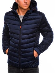 куртка весна-осень C368 - синий цена и информация | Мужские куртки | pigu.lt