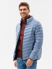 куртка весна-осень C528 - голубой цена и информация | Мужские куртки | pigu.lt