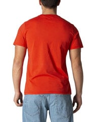 Мужская футболка Levi`s BFN-G-338613 цена и информация | Футболка мужская | pigu.lt