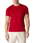 Marškinėliai vyrams U.s. Polo Assn. BFN-G-338920 kaina ir informacija | Vyriški marškinėliai | pigu.lt