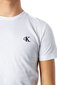 Marškinėliai vyrams Calvin Klein Jeans BFN G 338935 kaina ir informacija | Vyriški marškinėliai | pigu.lt