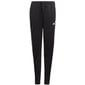 Sportinės kelnės mergaitėms Adidas D2M 3 Stripes Pant Jr GN1464 kaina ir informacija | Kelnės mergaitėms | pigu.lt